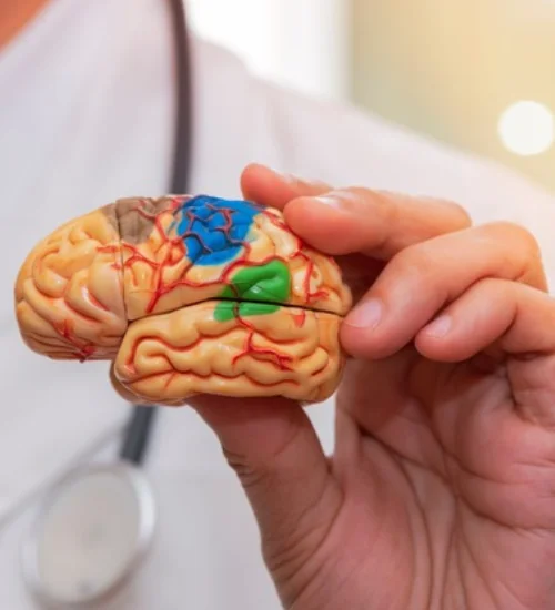 Neurologia