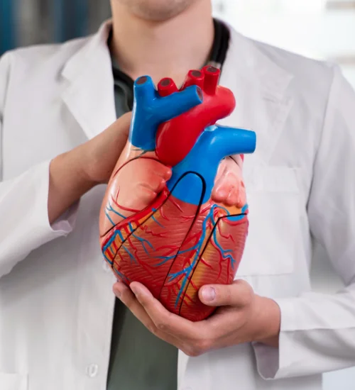 Cardiologia